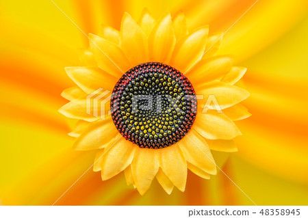 Large yellow artificial sunflower fan Large yellow artificial sunflower fan 48358945