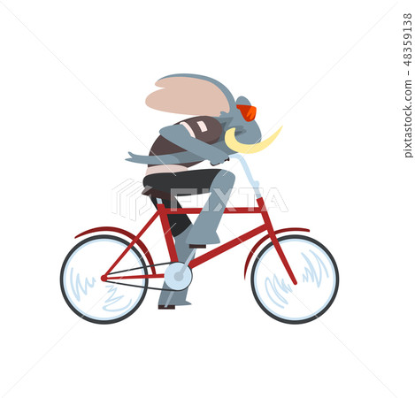 Rabbit Riding Biker, Animal Character Using Vehicle Vector Illustration Rabbit Riding Biker, Animal Character Using Vehicle Vector Illustration 48359138