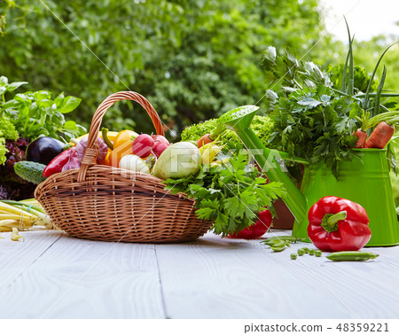 Fresh organic vegetables and fruits on wood table Fresh organic vegetables and fruits on wood table 48359221