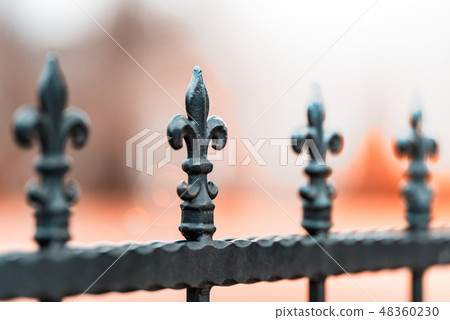 Wrought-iron fences, decorations 48360230