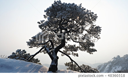 登山圖片 登山圖片 48360318