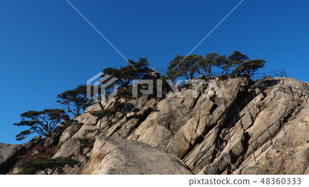 Mountain climbing picture Mountain climbing picture 48360333