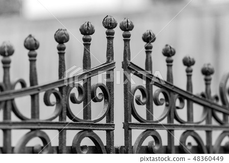 Wrought-iron fences, decorations Wrought-iron fences, decorations 48360449