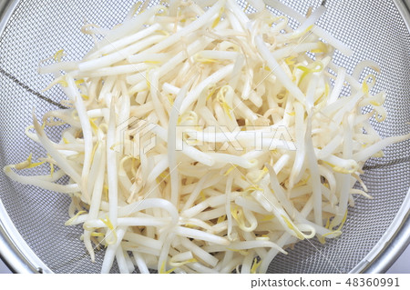 豆芽 豆芽 48360991