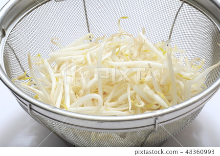 豆芽 豆芽 48360993