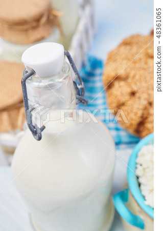 Dairy products Dairy products 48361065
