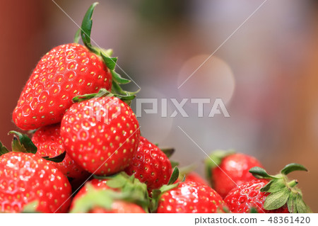 Ichigo圖像 Ichigo圖像 48361420