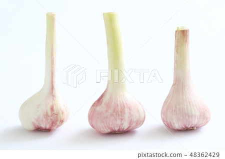 "Okinawa prefecture Itoman City" "Island garlic 48362429