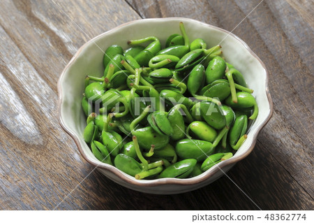 "Okinawa Prefecture" Namul of soybean leaves (bean leaf) 48362774