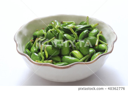 "Okinawa Prefecture" Namul of soybean leaves (bean leaf) "Okinawa Prefecture" Namul of soybean leaves (bean leaf) 48362776