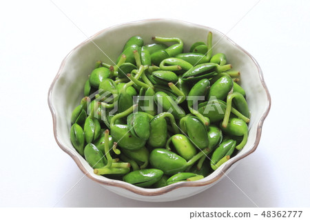 "Okinawa Prefecture" Namul of soybean leaves (bean leaf) 48362777