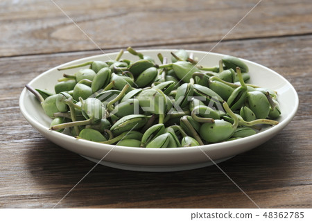 "Okinawa Prefecture" Soybean leaves (bean leaf) "Okinawa Prefecture" Soybean leaves (bean leaf) 48362785