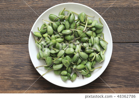 "Okinawa Prefecture" Soybean leaves (bean leaf) "Okinawa Prefecture" Soybean leaves (bean leaf) 48362786