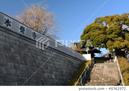 Yokohama · Honka-ji Yokohama · Honka-ji 48362972