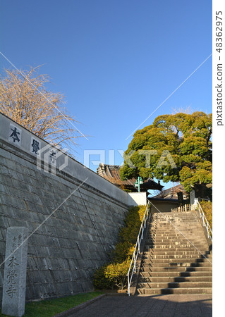 Yokohama · Honka-ji 48362975