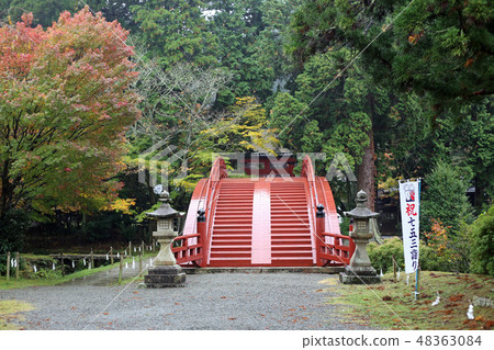 Autumn Niyuu shrine selling shrine Autumn Niyuu shrine selling shrine 48363084
