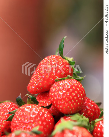 Ichigo image 48363218