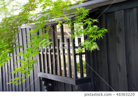 Fence of samurai residence and fresh green maple 48363220