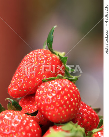 Ichigo image Ichigo image 48363236
