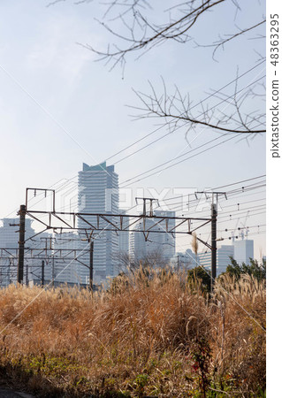 橫濱的貨運專線 48363295