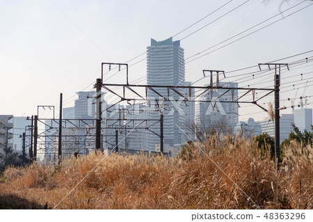 橫濱的貨運專線 48363296