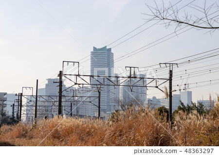 橫濱的貨運專線 48363297