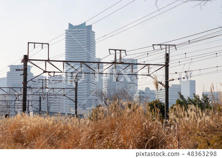 橫濱的貨運專線 48363298