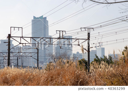 橫濱的貨運專線 48363299