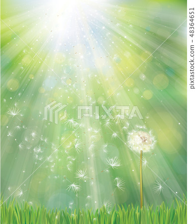 Vector of spring background with white dandelion. - Stock Illustration ...