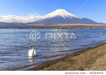 Shiratori and Mt. Fuji Yamanakako Shiratori and Mt. Fuji Yamanakako 48364958