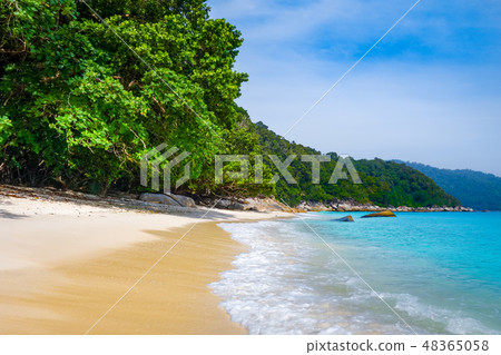 Turtle Beach, Perhentian Islands, Malaysia 48365058