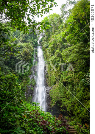 Melanting Waterfall, Munduk, Bali, Indonesia Melanting Waterfall, Munduk, Bali, Indonesia 48365071