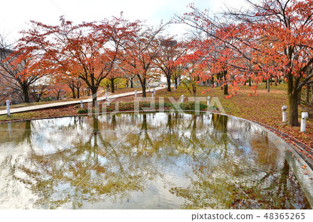 Ryu piah空氣花園(新潟)的秋葉 Ryu piah空氣花園(新潟)的秋葉 48365265