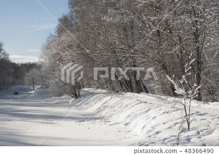 Winter landscape with a park 48366490