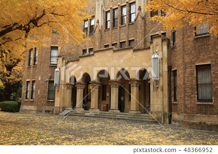 東京大學本鄉校園的秋葉 東京大學本鄉校園的秋葉 48366952