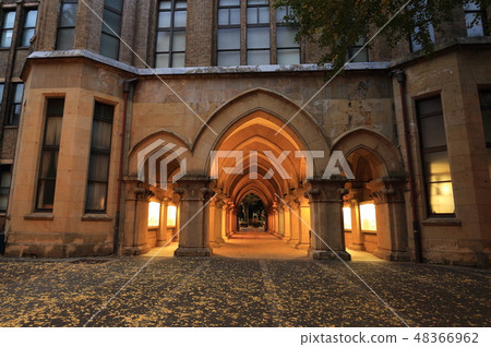 東京大學本鄉校園的秋葉 東京大學本鄉校園的秋葉 48366962