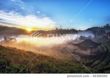 Sunrise at Lee wine Rak Thai, Ban Rak Thai 48366980