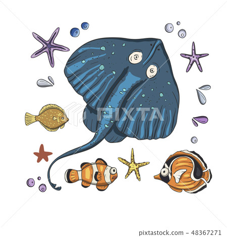 Stingray animal vector card. Stingray animal vector card. 48367271
