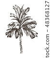 Vector Illustration of palm tree sketch for design, website, background, banner. Hand Drawing floral 48368127