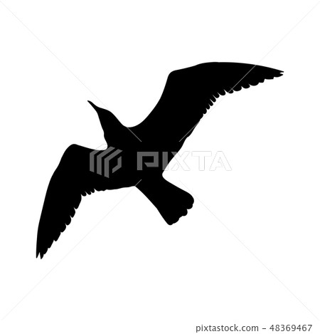 Flying Seagull Bird black silhouette isolated on white background.  illustration 48369467