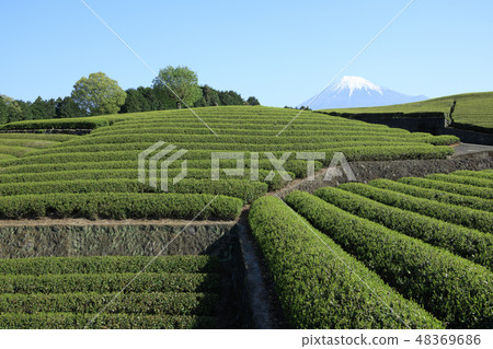 富士山 富士山 48369686