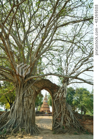 ayudhaya, ayutthaya, phra nakhon si ayutthaya 48369888