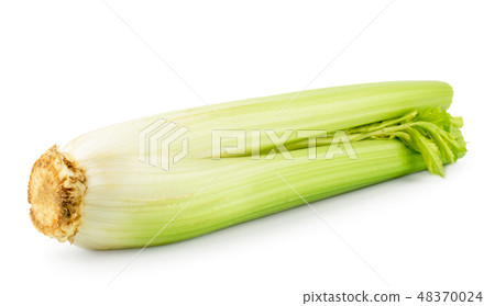 Celery stem close-up on a white. Isolated. Celery stem close-up on a white. Isolated. 48370024