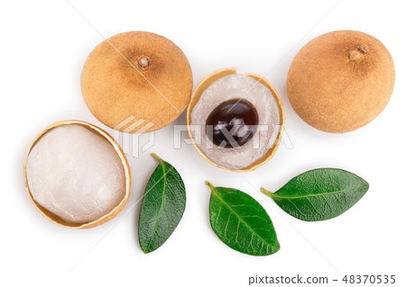 Fresh longan fruit with leaves isolated on white background. Top view. Flat lay Fresh longan fruit with leaves isolated on white background. Top view. Flat lay 48370535