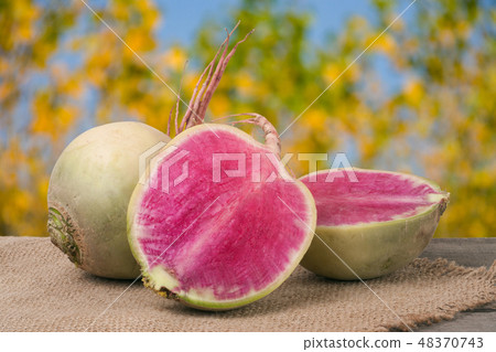 One whole and sliced watermelon radish on a wooden table with blurred garden background 48370743
