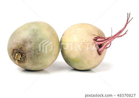 Two watermelon radish isolated on white background Two watermelon radish isolated on white background 48370827