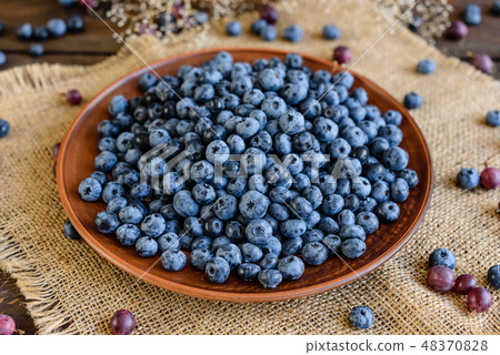 Fresh berries of blueberry on a plate 48370828