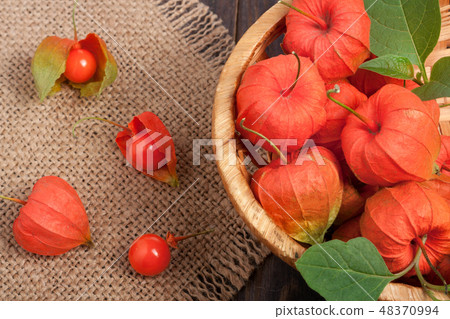 physalis in a wicker basket on the table physalis in a wicker basket on the table 48370994
