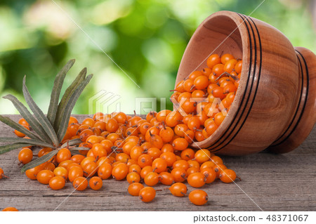 Sea-buckthorn berries in a wooden bowl on table with blurred garden background 48371067