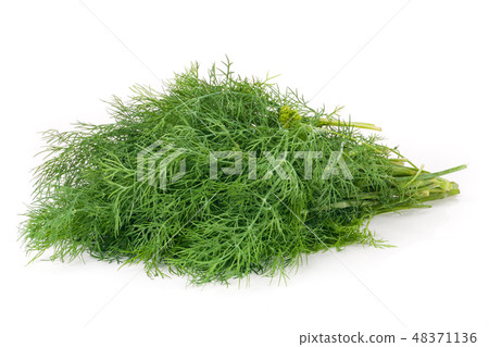 bunch of dill isolated on a white background closeup 48371136